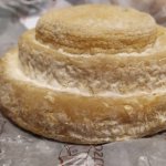 Il formaggio che prende il nome dalla piccola frazione di Montébore nel Comune di Dernice (AL)